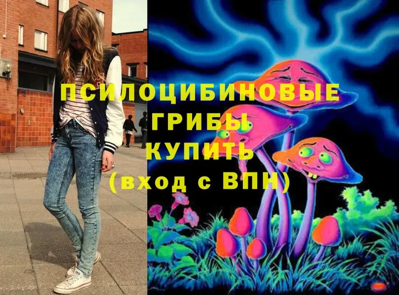 Галлюциногенные грибы Magic Shrooms  KRAKEN tor  Терек 